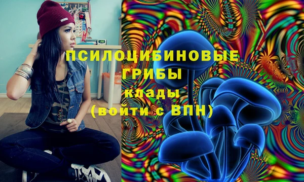 герыч Саяногорск
