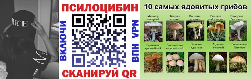 Галлюциногенные грибы Psilocybine cubensis  где продают наркотики  Нефтекумск 